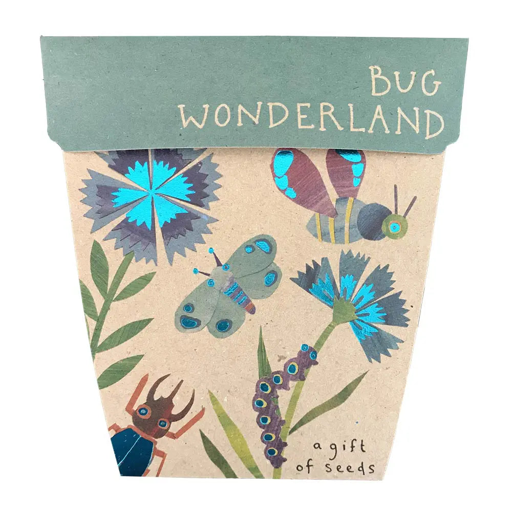 Sow 'N Sow A Gift of Seeds Card, Bug Wonderland