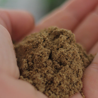 Gourmet Organic Coriander Ground 30g, Certified Organic