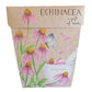 Sow 'N Sow A Gift of Seeds Card, Echinacea