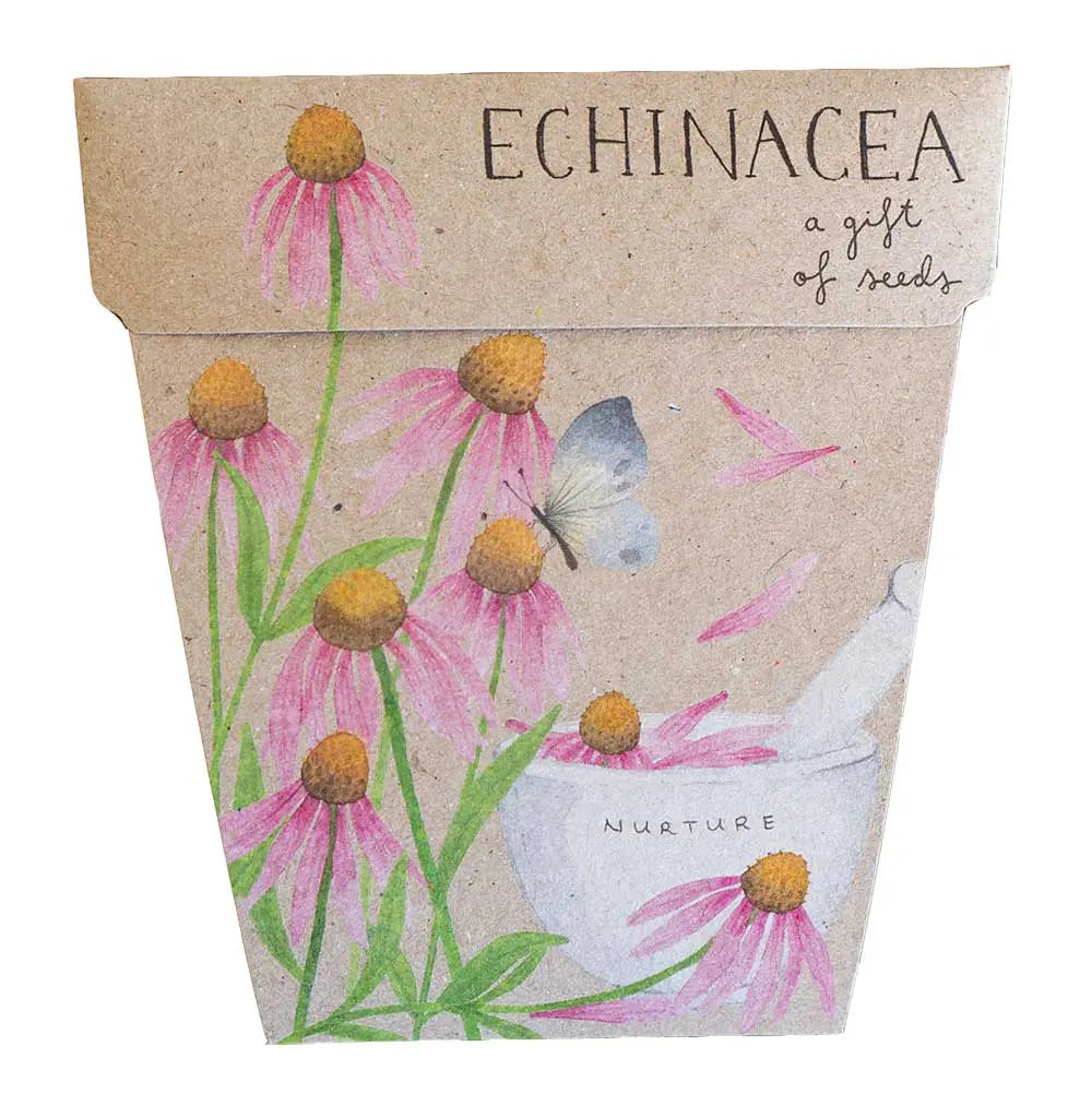 Sow 'N Sow A Gift of Seeds Card, Echinacea