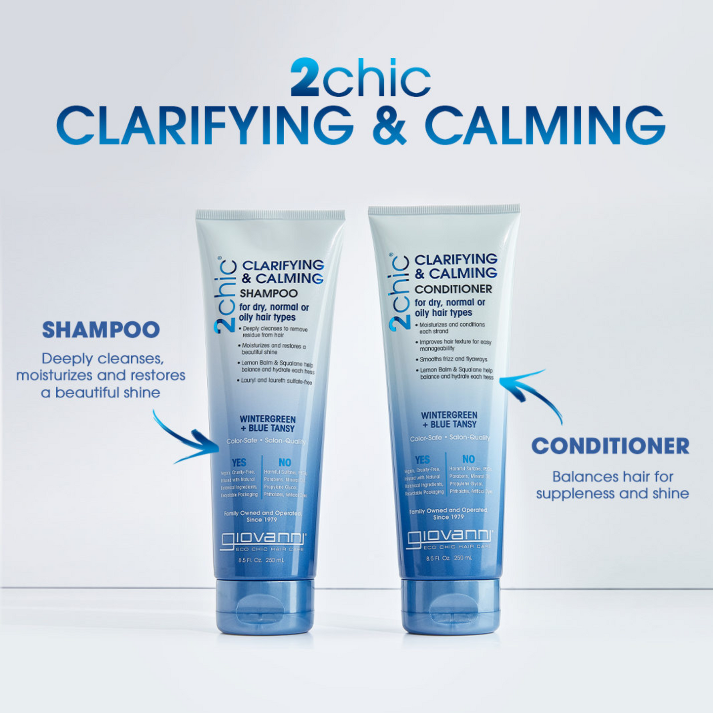 Giovanni 2Chic Clarifying & Calming Shampoo 250mL, Balances Hair for Suppleness & Shine