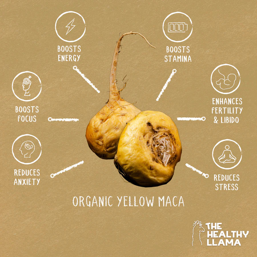 The Healthy Llama Yellow Maca 120 Vegetarian Capsules, Our Ancient Stress Reliver