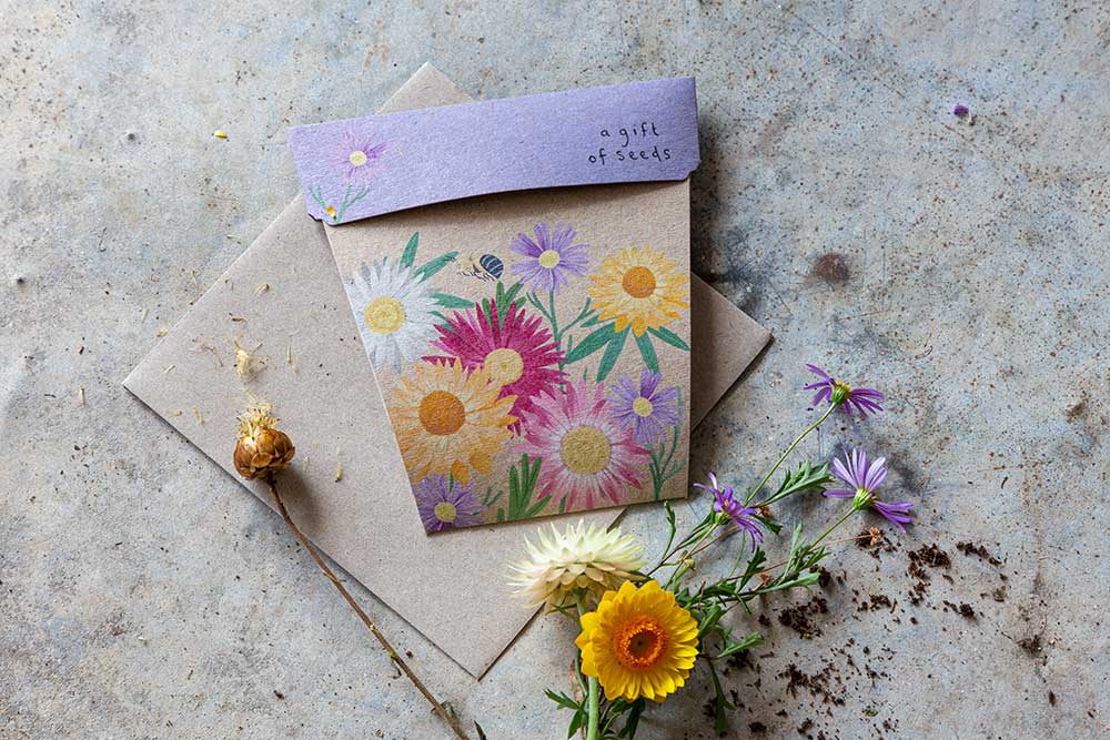 Sow 'N Sow A Gift of Seeds Card, Native Daisies