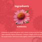 Yogi Herbal Tea 16 Bags, Echinacea Immune Support, Supports Immune Function