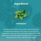 Yogi Herbal Tea 16 Bags, Egyptian Licorice Mint, Warming & Naturally Spicy-Sweet