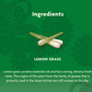 Yogi Herbal Tea 16 Bags, Green Tea Kombucha, Supplies Antioxidants To Support Overall Health
