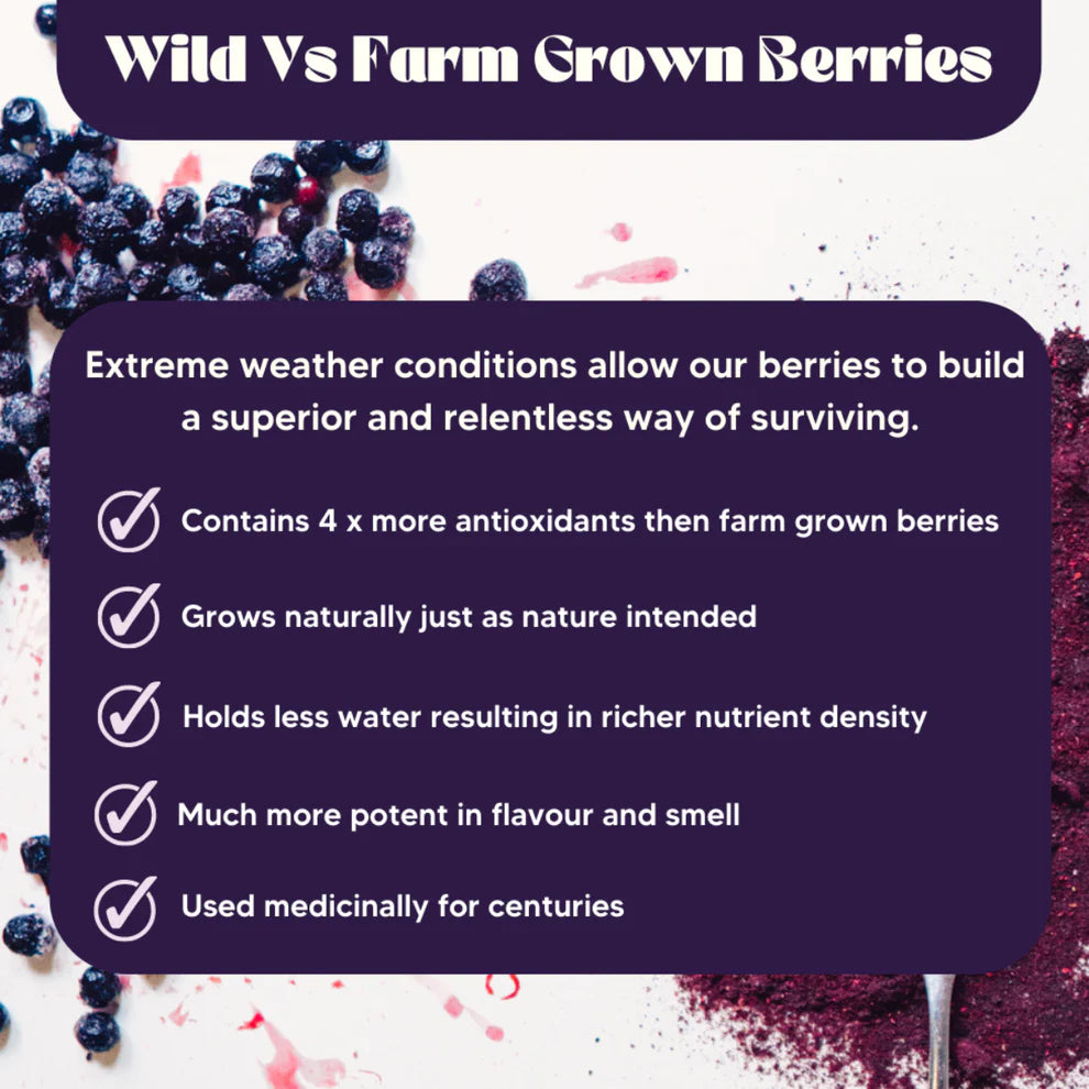 Mt Wilder Wild Blueberry Powder 100g, Bursting with Vitamin C, Fibre, Zinc and Essential Amino Acids
