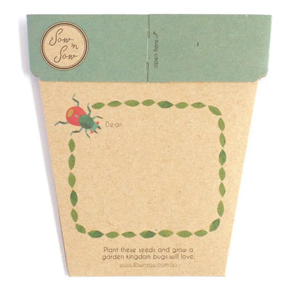 Sow 'N Sow A Gift of Seeds Card, Bug Wonderland