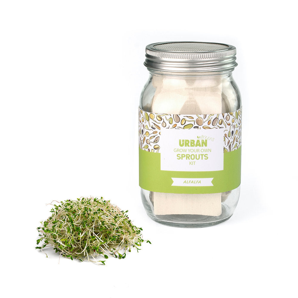 Urban Greens Sprout Jar Kit, Alfalfa