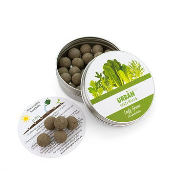 Urban Greens Seed Balls (For Planting) Leafy Greens (24 Per Tin)