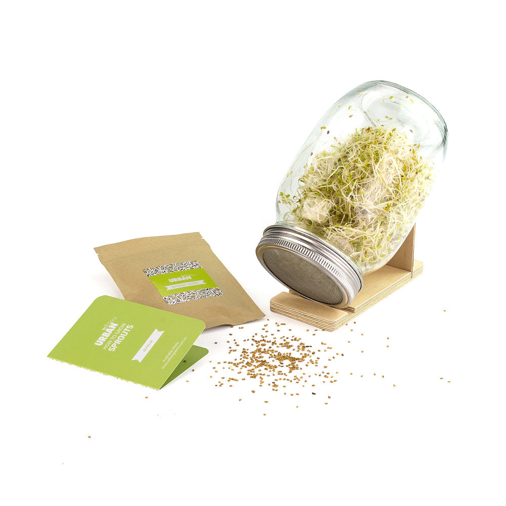 Urban Greens Sprout Jar Kit, Alfalfa