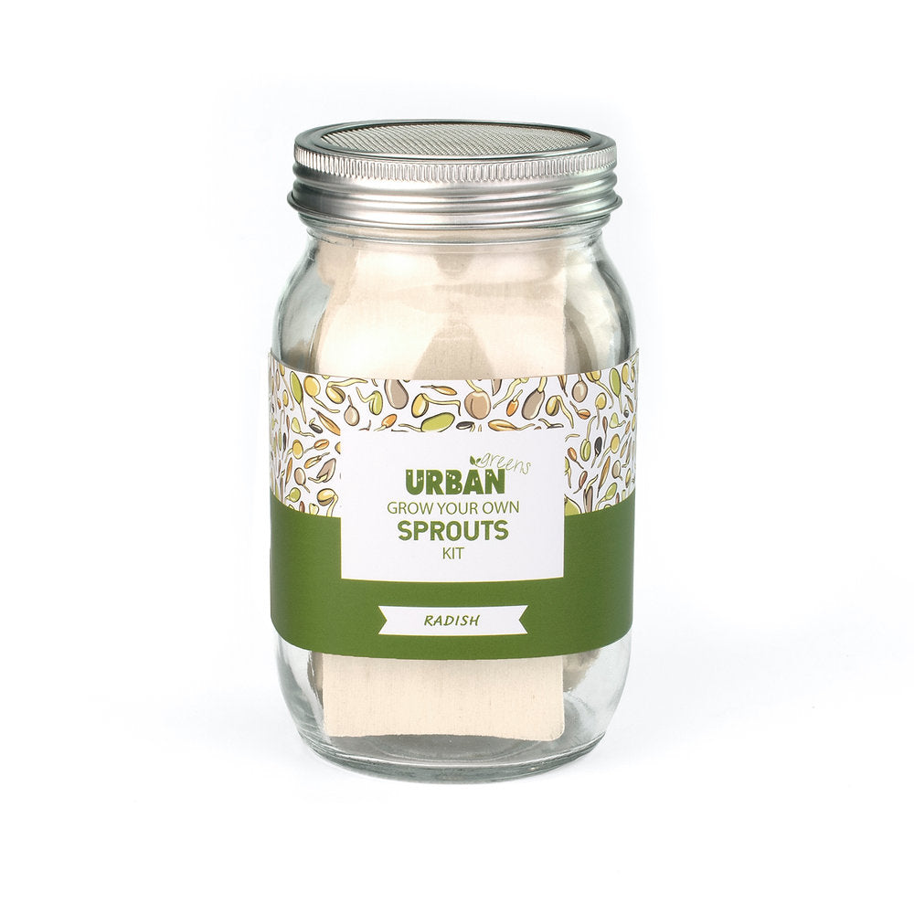Urban Greens Sprout Jar Kit, Radish