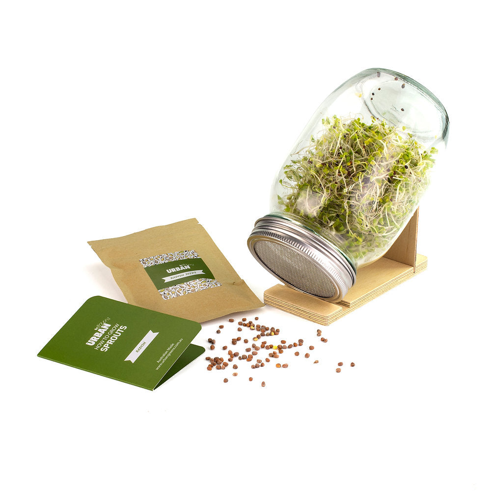 Urban Greens Sprout Jar Kit, Radish