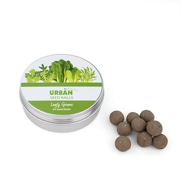 Urban Greens Seed Balls (For Planting) Leafy Greens (24 Per Tin)