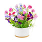 Urban Greens Grow Pot Of Flowers Kit, Fragrant Sweet Pea - 14x14x8.5cm