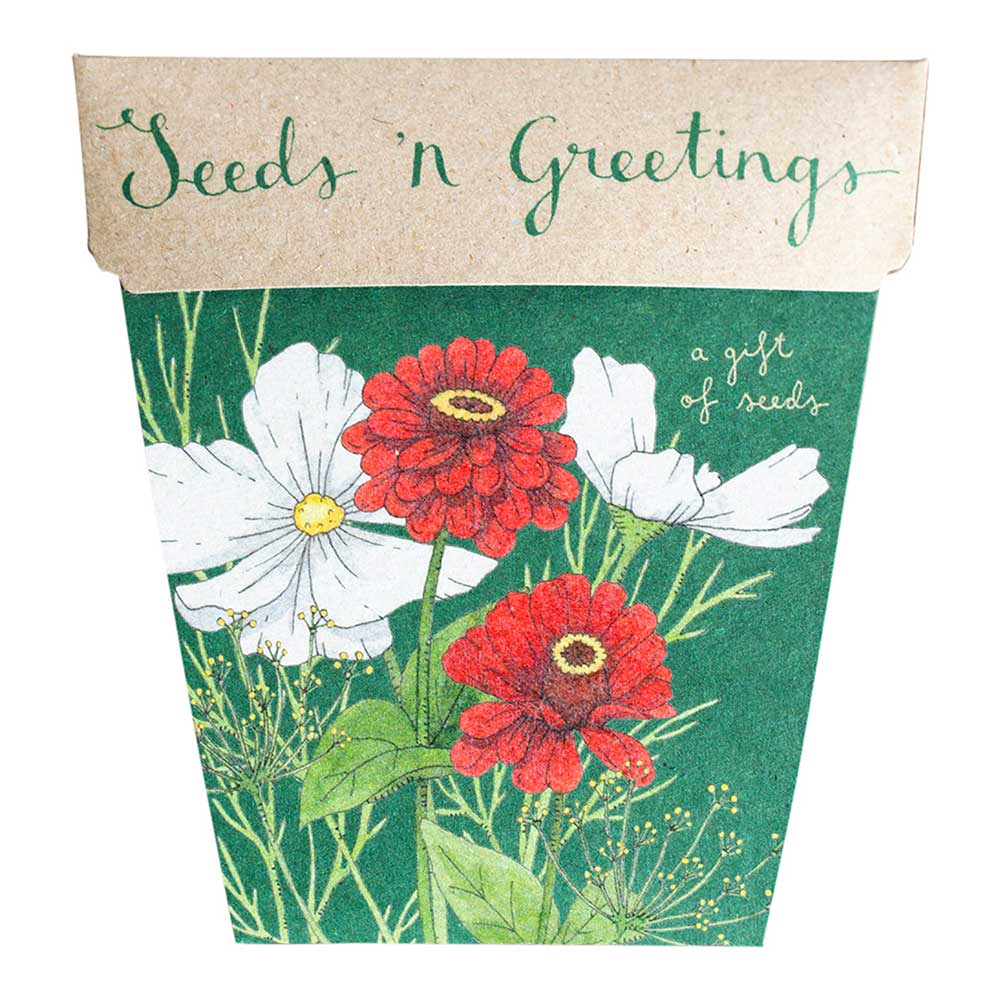 Sow 'N Sow A Gift of Seeds Card, Seeds n' Greetings