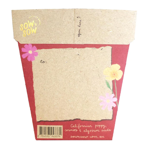 Sow 'N Sow A Gift of Seeds Card, Christmas Wildflowers