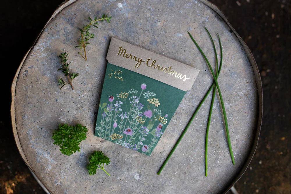 Sow 'N Sow A Gift of Seeds Card, Merry Christmas!!