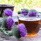 Buddha Teas Organic Herbal Tea 18 Tea Bags, Milk Thistle Tea; A Herbal Tonic To Detox & Restore