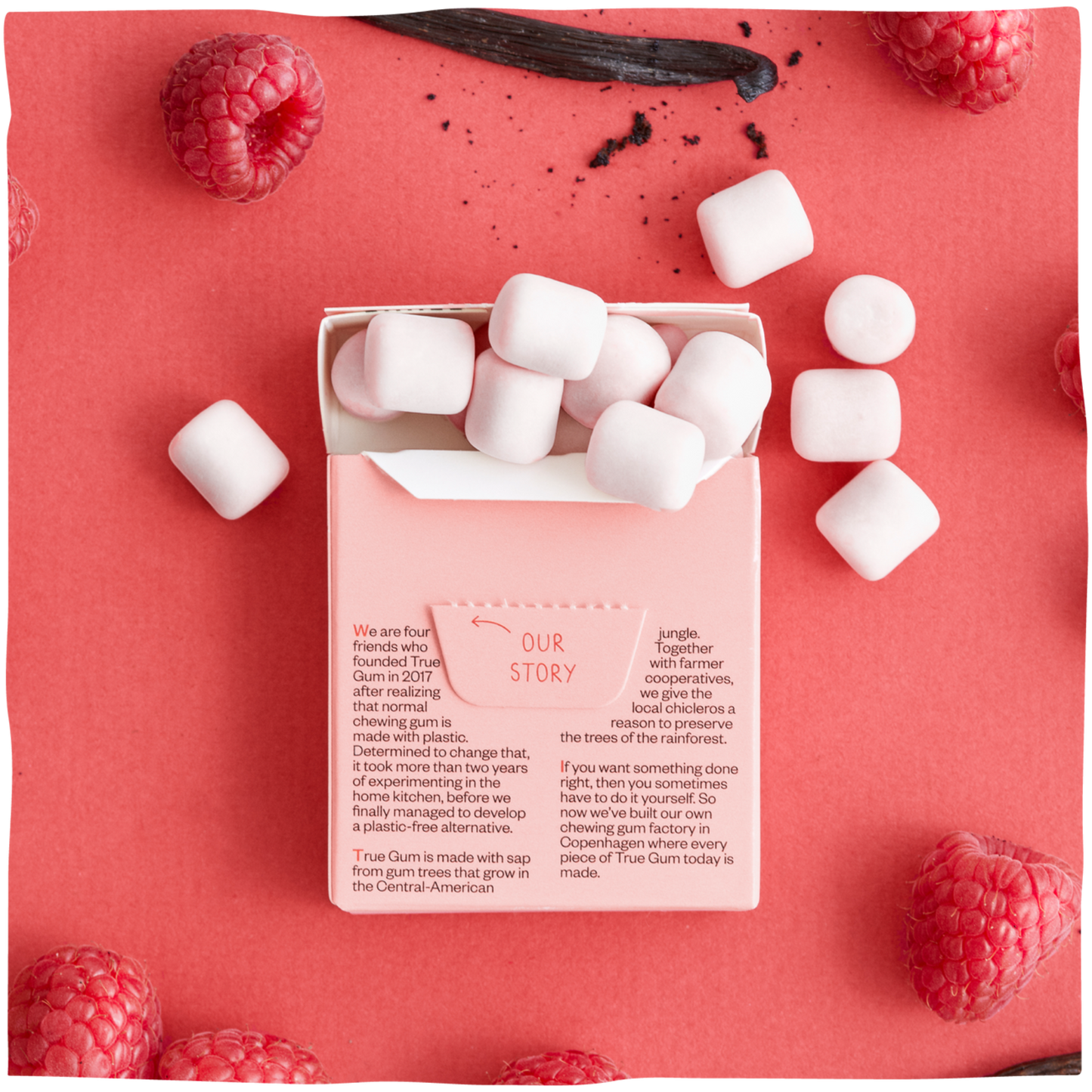 True Gum Sugar Free Gum Single Pack (21g) Or A Box Of 24, Raspberry & Vanilla Flavour Plastic Free Packaging
